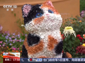 视频丨“含猫量”极高！喵呜~跟着小猫游北京🐈️