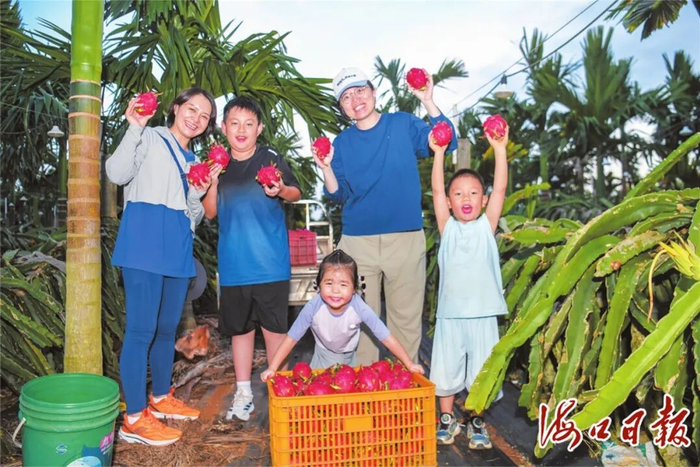 亲子家庭走进海口红旗镇苏寻三村，开启农耕自然研学之旅。海口市融媒体中心记者 苏弼坤 摄