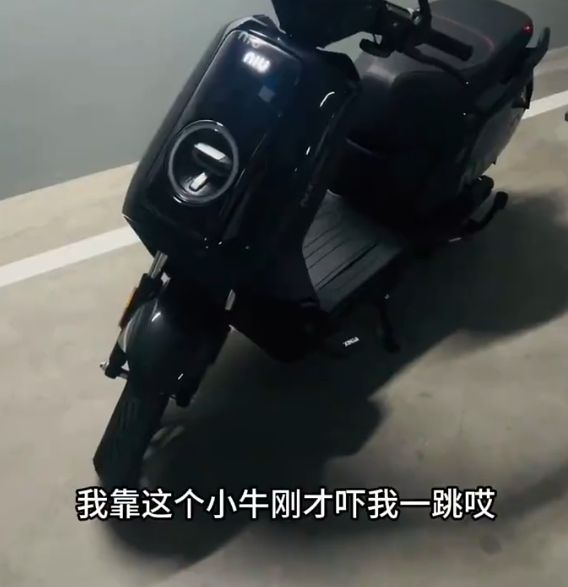 往上有用户发视频称受到惊吓。网传视频截图