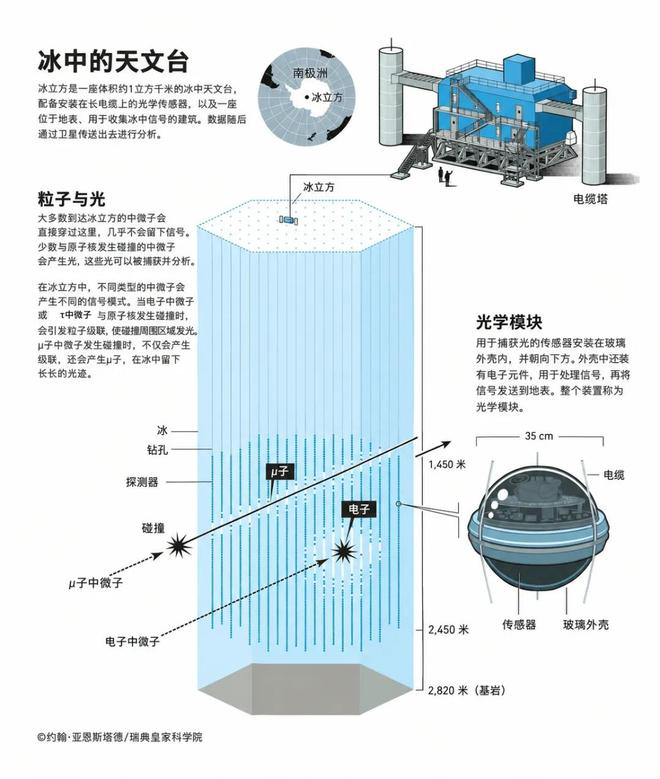 冰立方探测器结构示意。图源：诺奖官方公布材料/IceCube 合作组，AI翻译