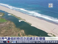 史上最强！世界气象组织预计厄尔尼诺12月达到峰值：我国今年大概率暖冬