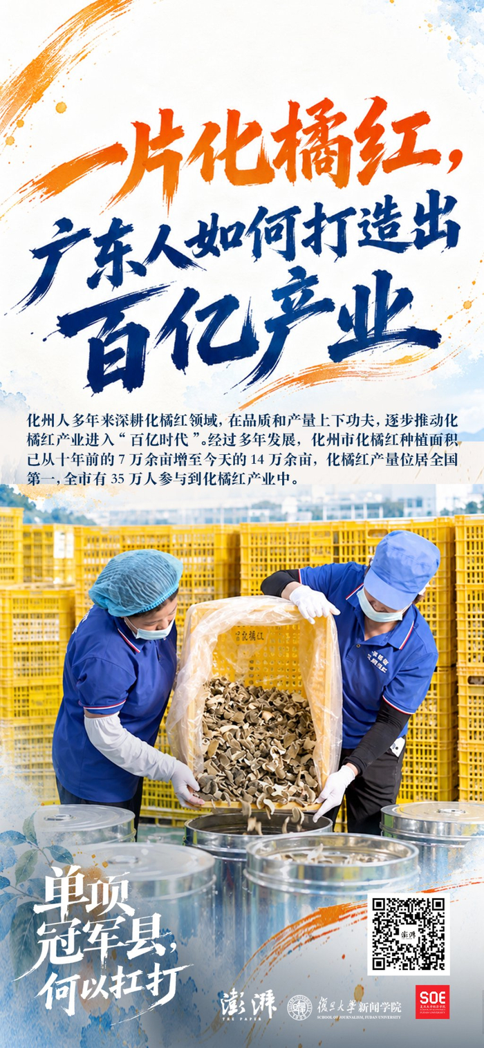 海报设计  郁斐