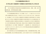 中文在线终止H股上市，曾被深交所要求论证A+H同步股权融资合理性