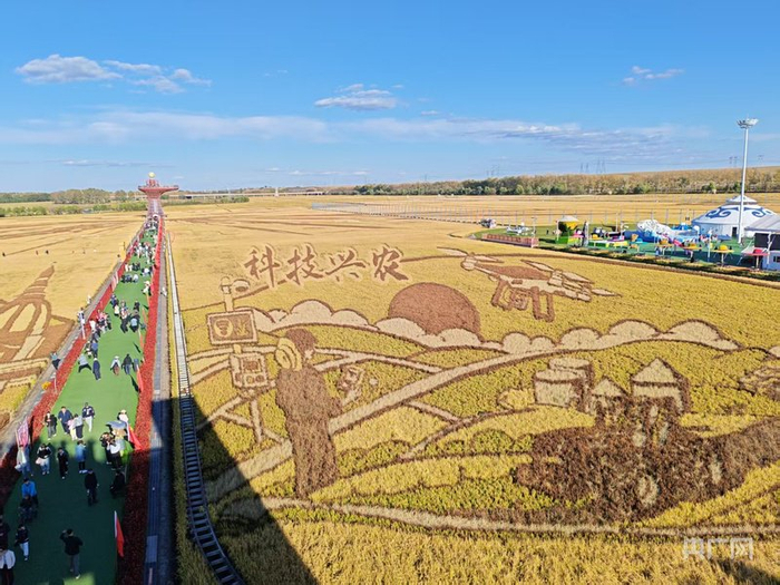 国庆节期间，哈尔滨闫家岗稻田艺术农场景区游人如织（央广网记者宋雪摄）