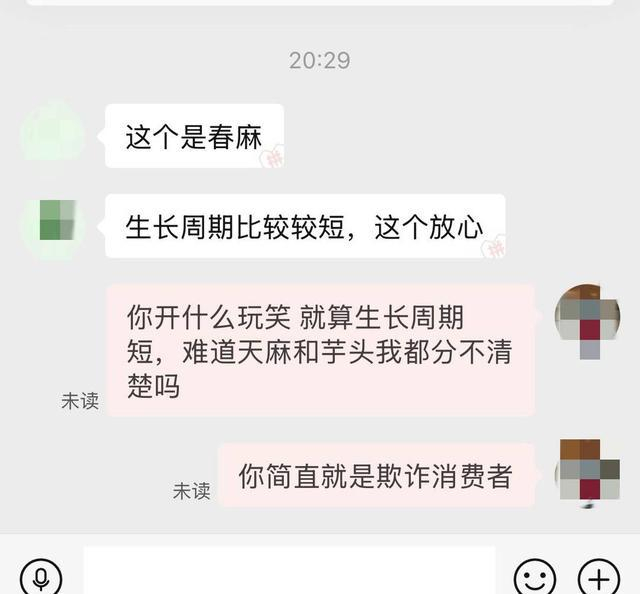 商家回复是“春麻”。 陈娟供图