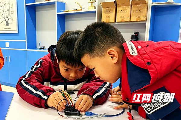 枫树山明昇小学的孩子们调整科技作品。
