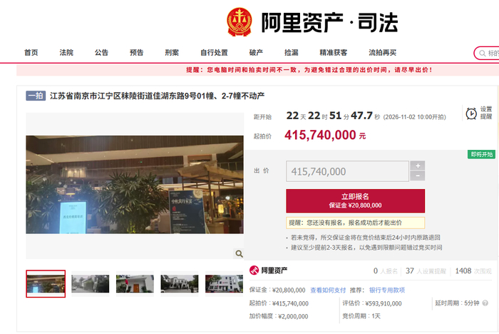 ▲截图自阿里资产平台