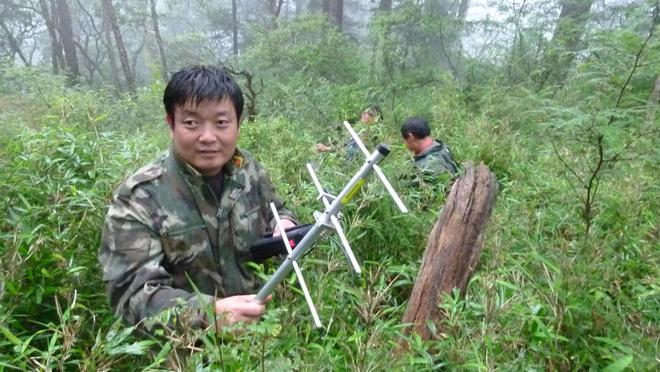 ▲张晋东收集GPS项圈数据