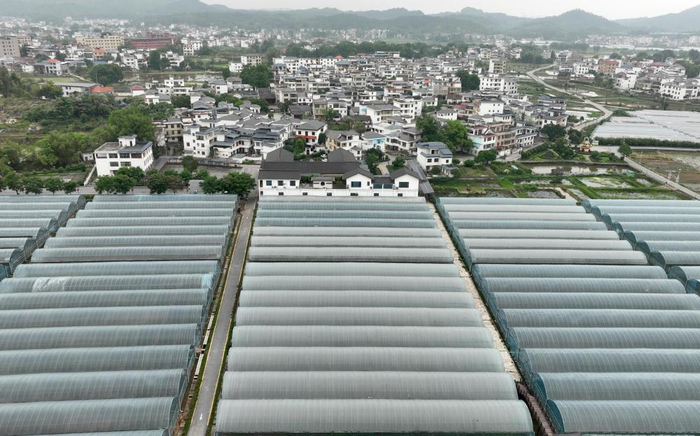 江西于都梓山镇潭头村的果蔬种植基地（2026年4月16日摄）。新华社记者 万象 摄