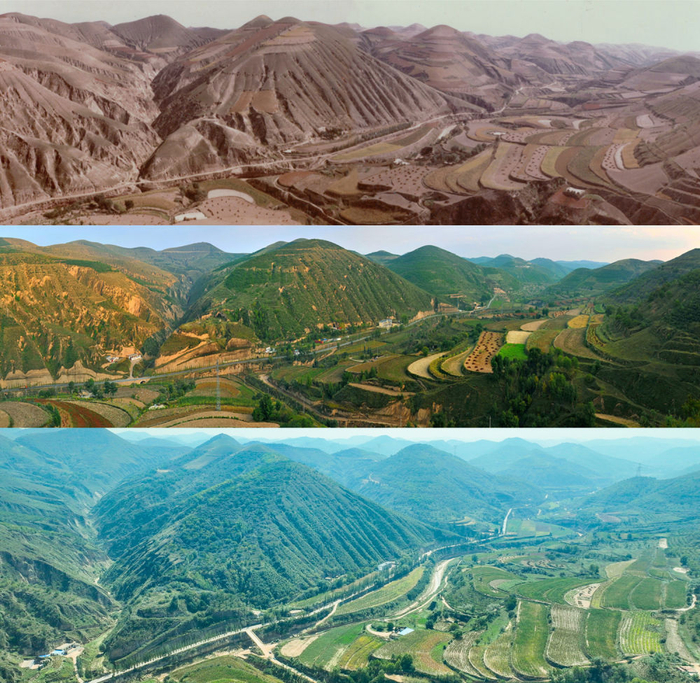  拼版照片：上图为延安市吴起县铁边城镇三谷尧村1984年的景象；中图为2012年拍摄的同一位置退耕还林后的面貌；下图为2024年9月24日拍摄的同一位置退耕还林后的新貌（党文静 摄）。