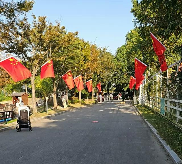 国庆假期，星火村道路环境整洁有序。受访者供图。