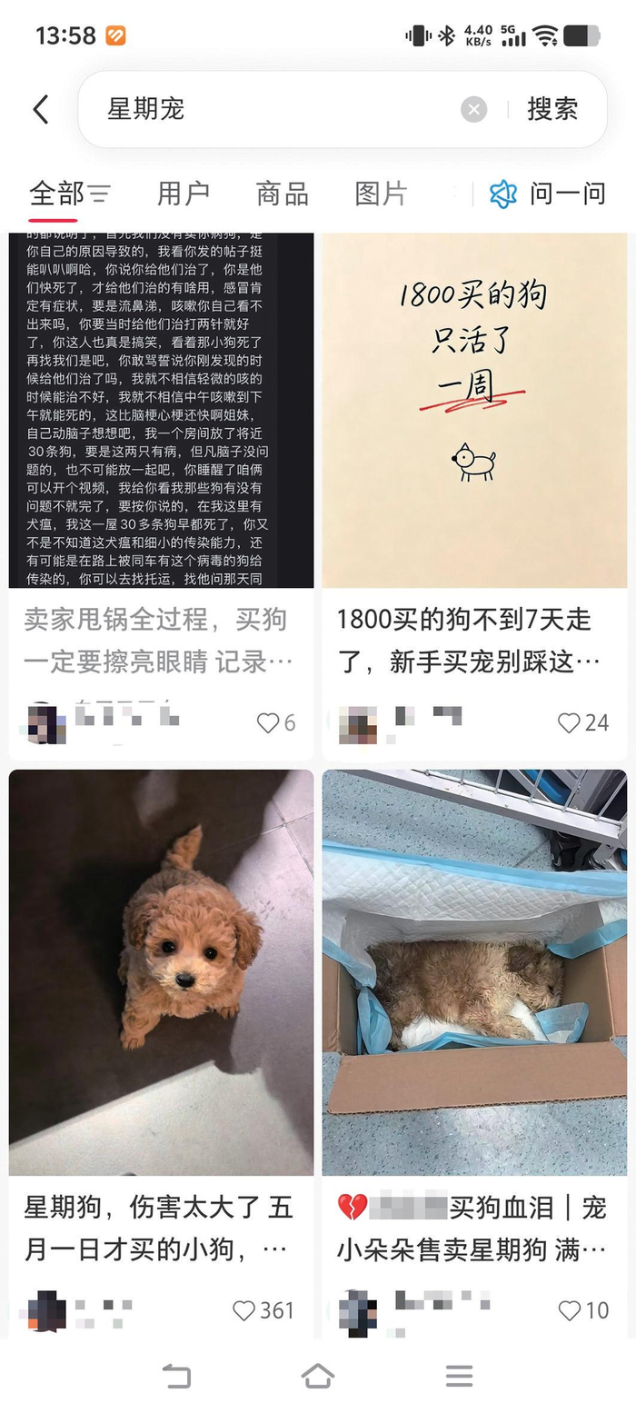 某社交平台上，一些消费者讲述遭遇“星期宠”的经历。社交平台截图