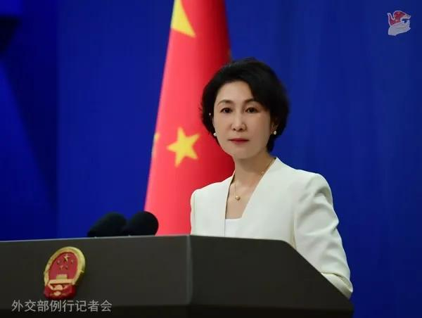 毛宁资料图。图源：外交部网站