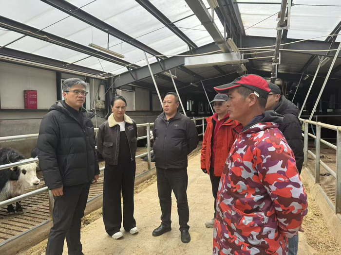 金牛区第八批对口支援石渠工作队调研长沙干玛乡牦牛产业园（工作队供图）
