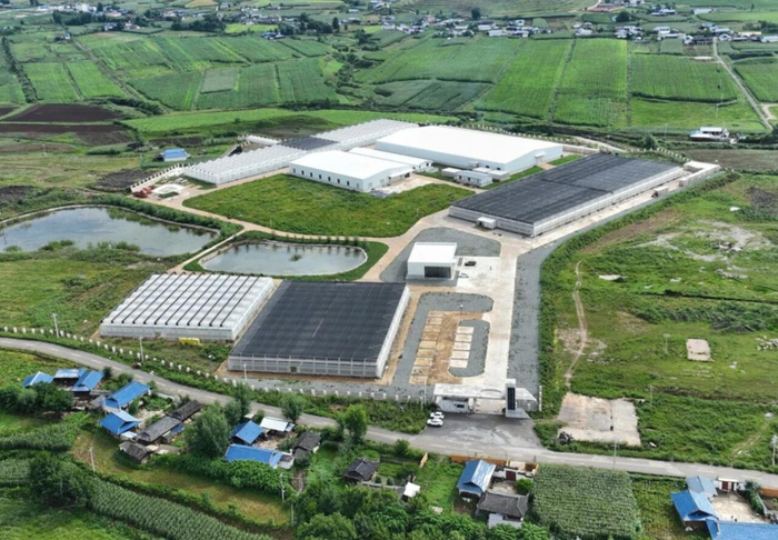 位于宁蒗县永宁镇的丽江英茂种业有限公司种薯基地。（丽江融媒记者 廖浚宏 摄）