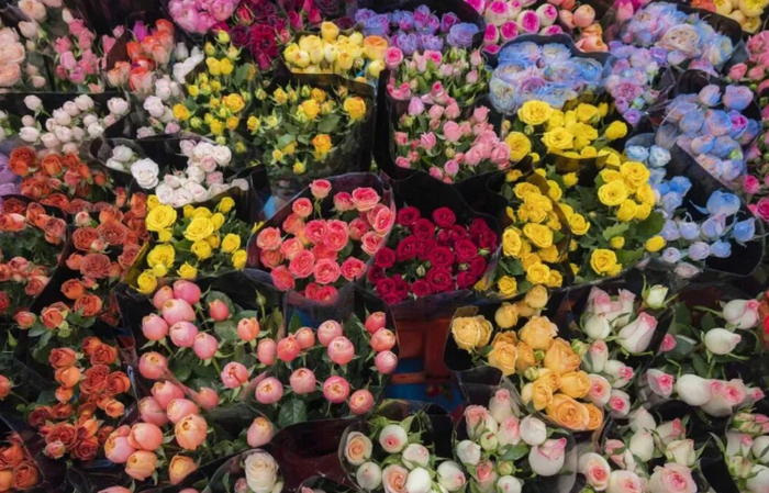 鲜花货品