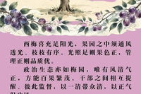 西梅：紫梅守正 清润连心