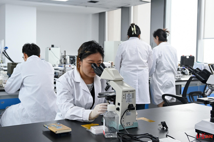 ▲位于未来医学城的四川迪亚生物科技集团有限公司实验室