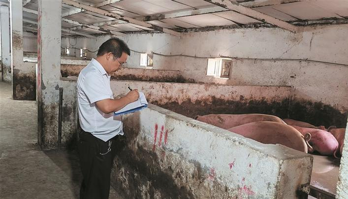     覃杰在二师二十九团开展生猪摸排工作（资料图片）。邓军  摄
