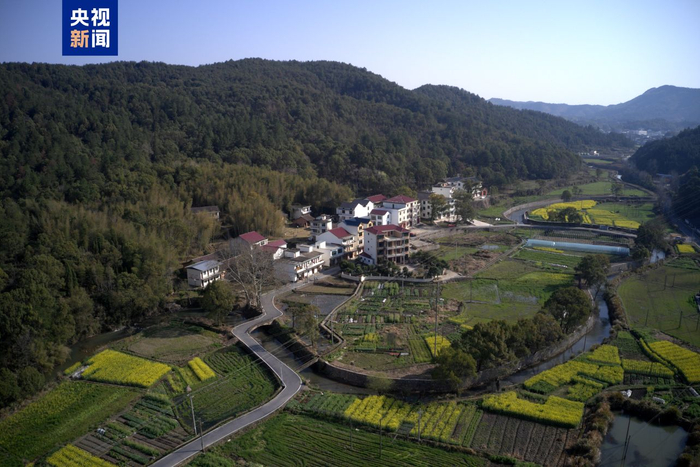 黄沙渠牌楼支渠航拍照片