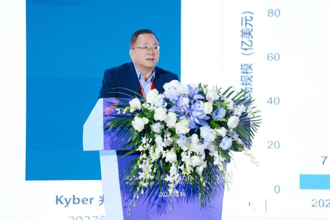 华润微电子董事长何小龙。图片来源：主办方供图