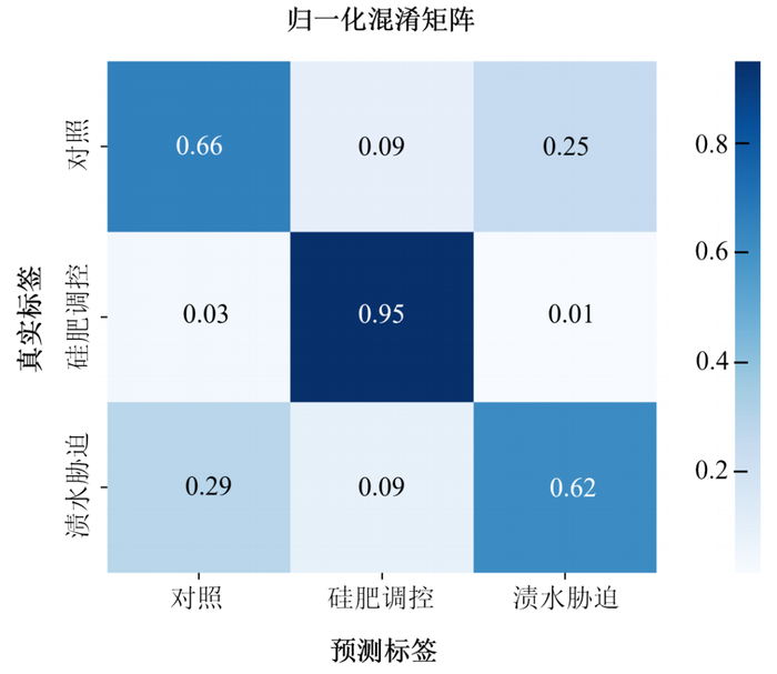图6　对照、胁迫和硅肥调控VGG21识别模型混淆矩阵
