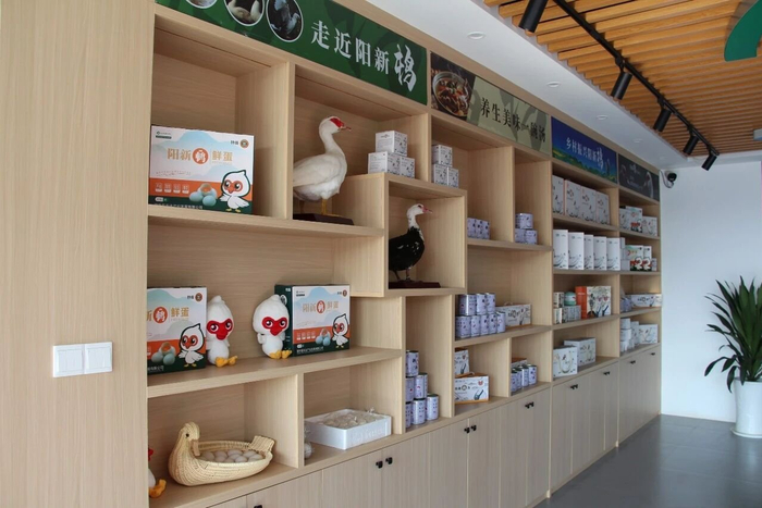 ▲阳新屯鸟经过深加工形成了丰富的产品系列