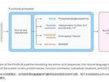 谷歌Antigravity平台加速抗菌肽新药研发