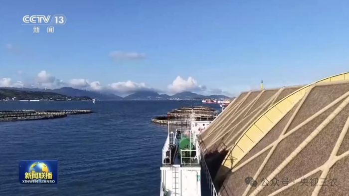 （在福建连江，一座座深远海养殖平台里，大黄鱼正在几十米深的海水里生长）