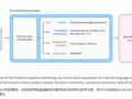 谷歌Antigravity平台加速抗菌肽新药研发