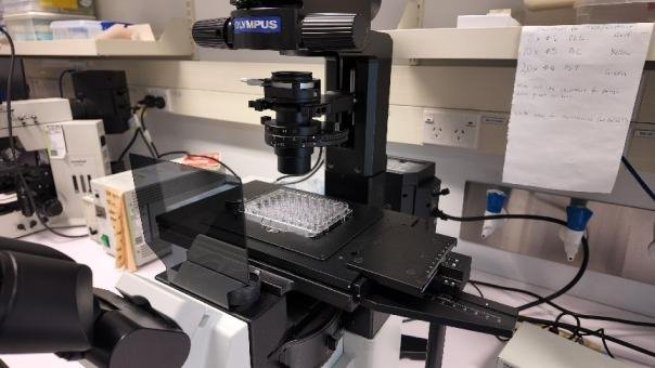 图为奥己探访奥克兰大学实验室实拍