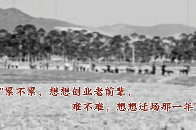 （图为“天湖记忆”视频中迁场及创业片段） 