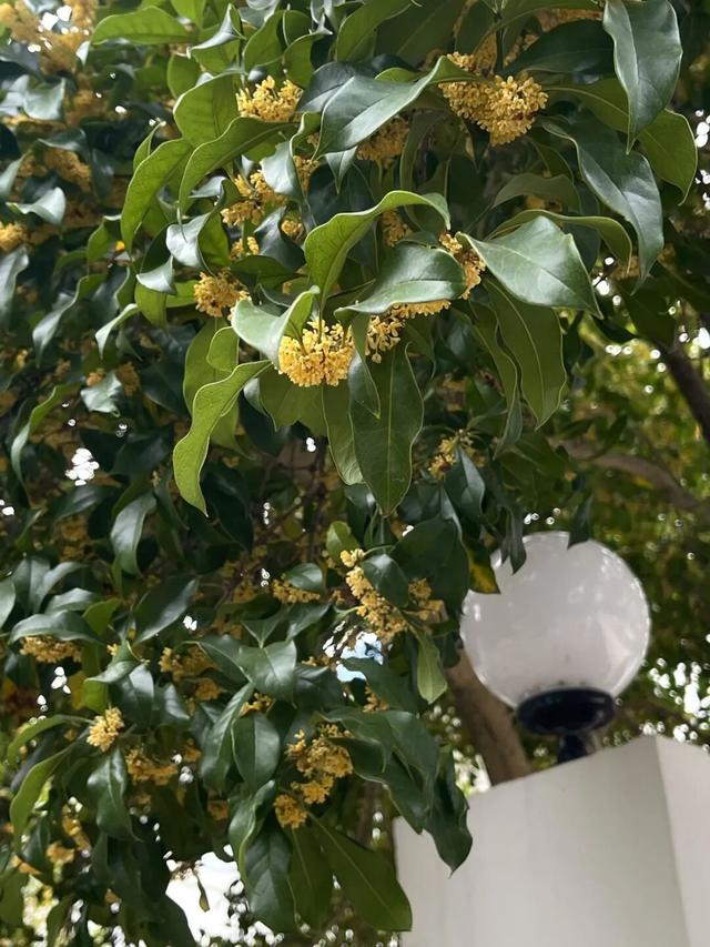 △航星二村 