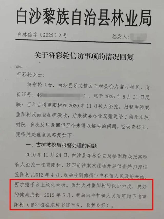 白沙县林业局回复古树被赠予中和镇政府。受访者供图