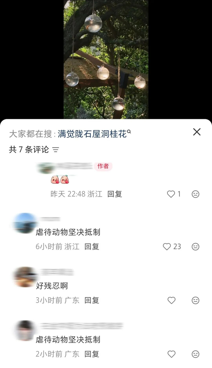 截图自社交网站