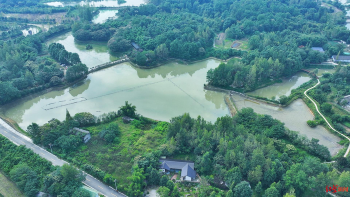 ▲都江堰大闸蟹养殖基地