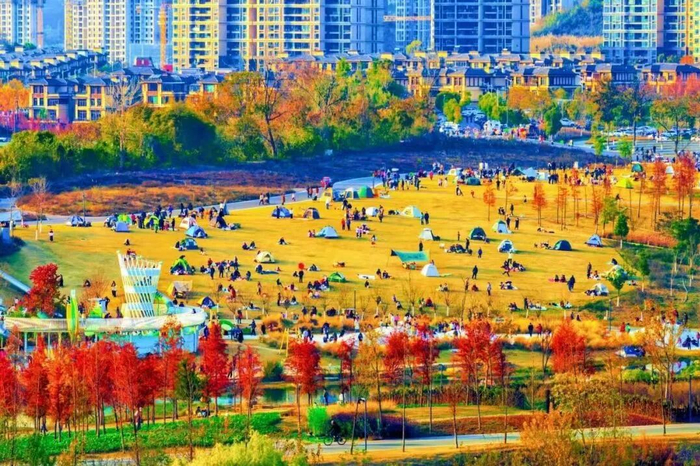 市民在卷桥河湿地公园乐享露营好时光。