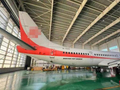 起拍价超6亿元！4架波音737系列民航客机无人报名流拍，共吸引12万余人次围观