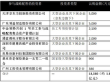 皇冠新材 IPO 战略配售：京东方、领益智造各认购 5000 万元