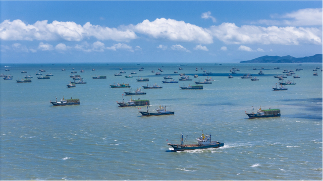 图：北纬35度至北纬26度30分之间的黄海、东海海域伏季休渔期正式结束，舟山渔船扬帆出海，开启开渔捕捞新航程