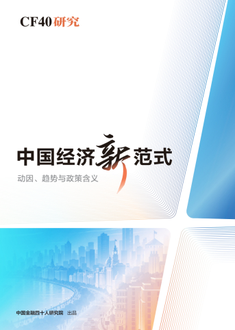 CF40研究年度报告