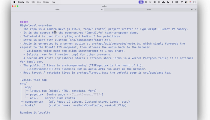 ▲Codex CLI
