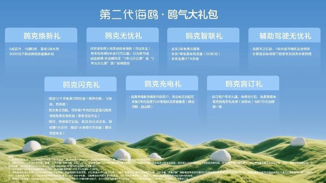 ▲第二代海鸥购车权益