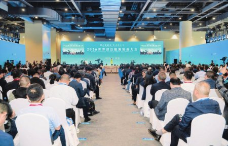 10月15日，2026世界清洁能源大会开幕式现场。 主办方供图