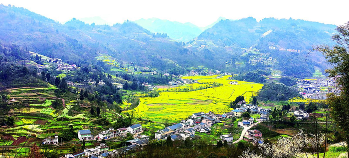     梨园村如今家家都住上了楼房（吴明兴 摄）