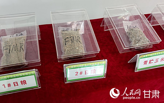 雨宁农业配制的全混合日粮饲料。人民网记者 米媛摄