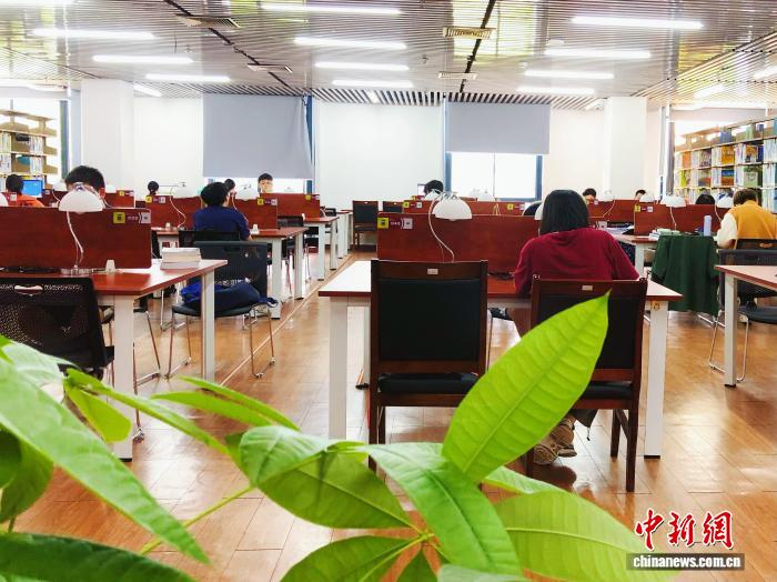 深大学子在图书馆读书。深圳大学供图