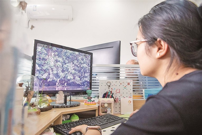 重庆市梁平区湿地保护中心工作人员在对采集数据进行整理。新华社发