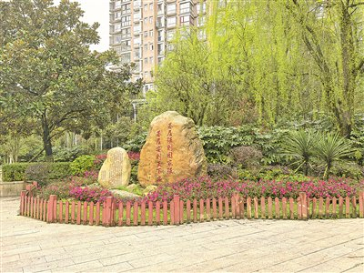 金元社区一景。 帅弋 摄
