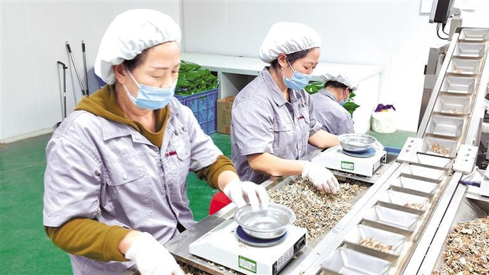 贵州苗立克中药科技有限公司生产车间内，员工分拣中药材。                  本报记者 王潇 摄